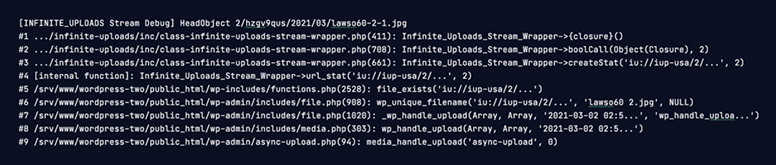 Debugging Infinite Uploads