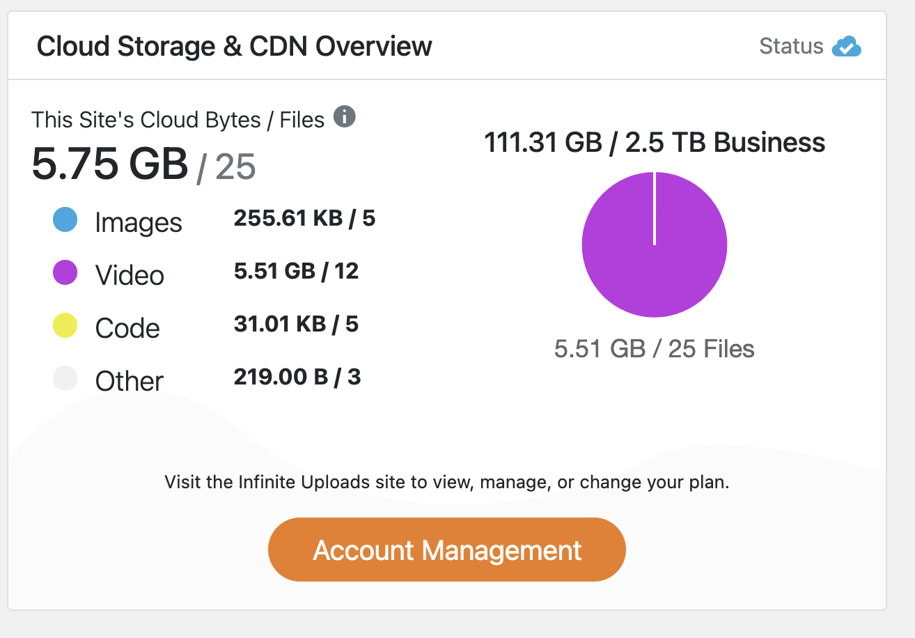Cloud storage overview screenshot showing usage data with colorful pie chart.