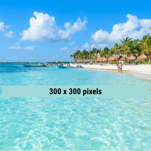 Beach scene with turquoise water, palm trees, blue sky, "300 x 300 pixels."