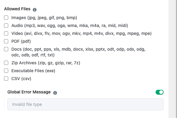 Checkbox list of allowed file types with "Invalid file type" error message.