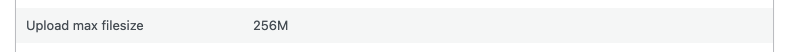 Screenshot showing "Upload max filesize 256M" in gray text on a white background.