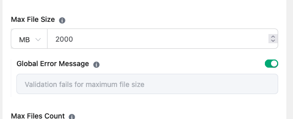 Settings interface screenshot with "Max File Size" and "Global Error Message" options.