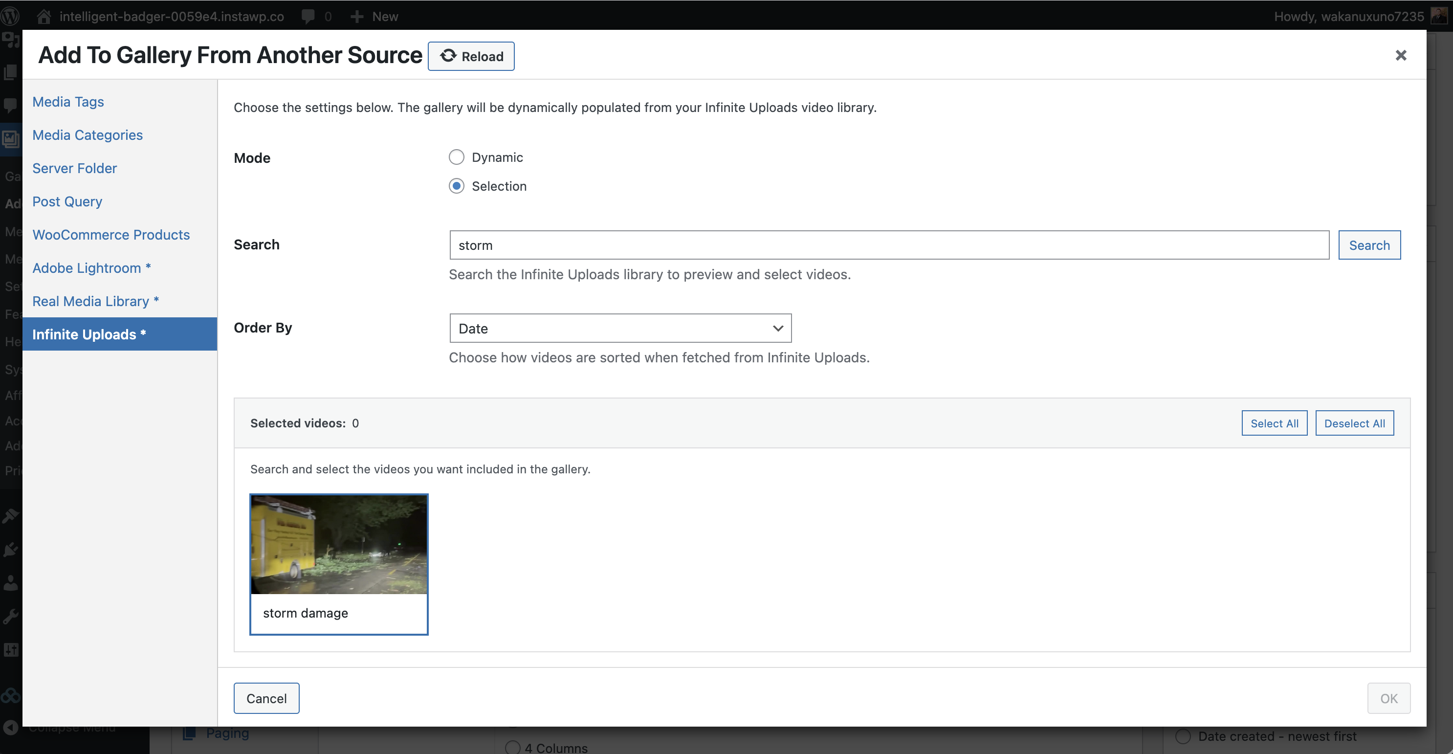 WordPress interface screenshot showing "Add To Gallery" with "storm damage" video thumbnail.