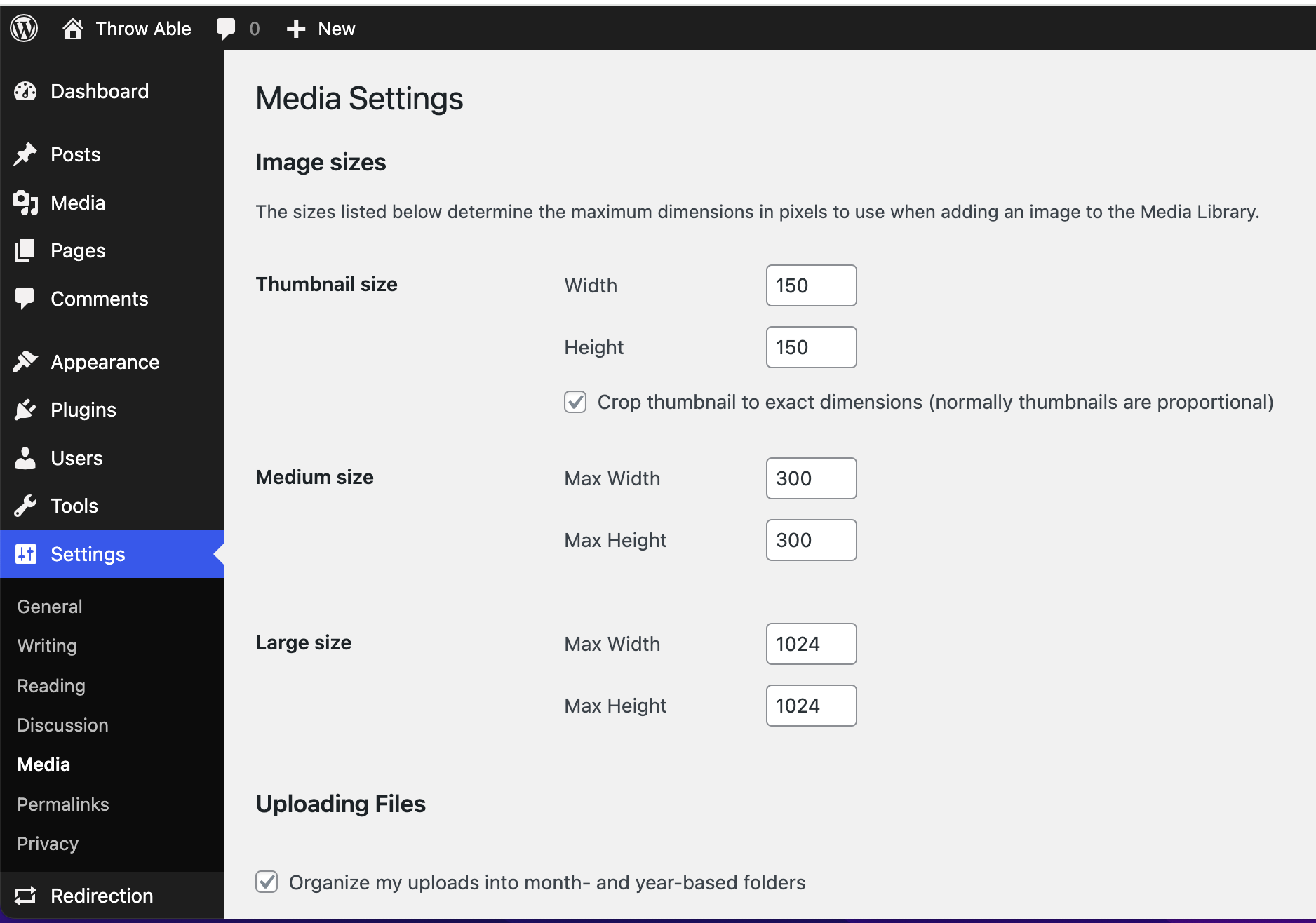 WordPress media settings screenshot showing image size options and blue sidebar.