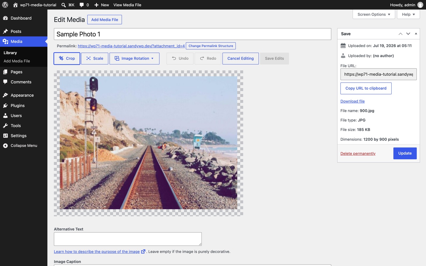 Railroad tracks beside cliffs and ocean, photo in WordPress media editor.