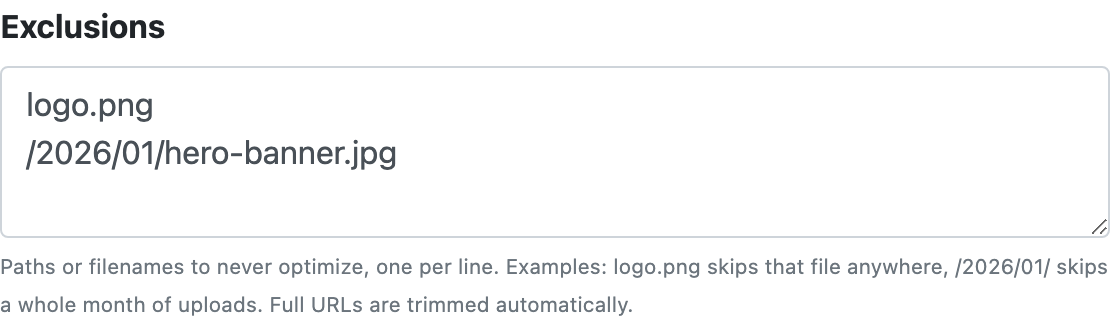 Text list showing exclusions for "logo.png" and "/2026/01/hero-banner.jpg".