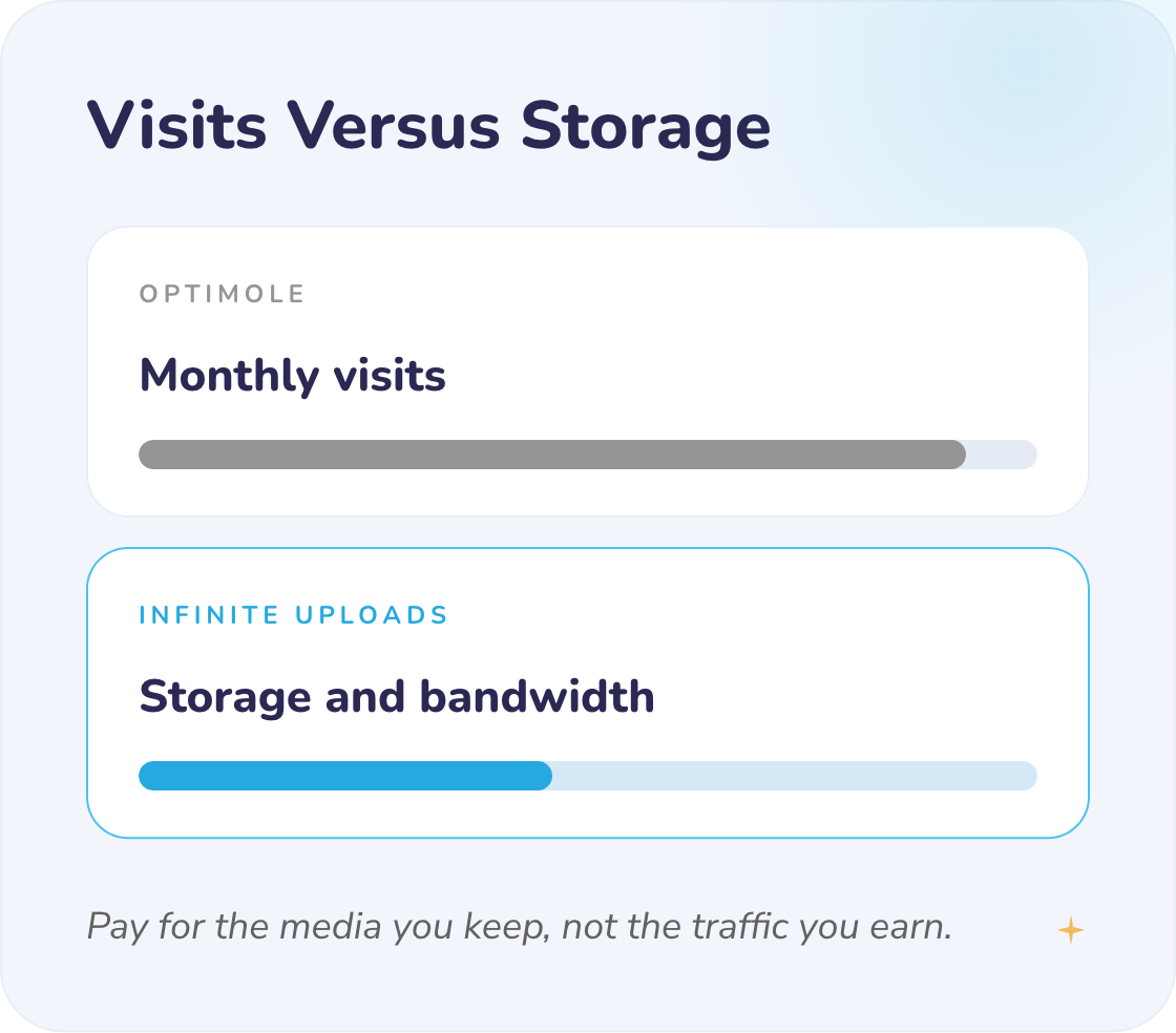 Infographic comparing visits and storage with progress bars, blue and gray colors.