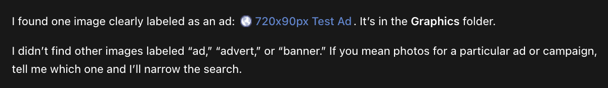An AI tool's answer to a search for ad photos, finding one image, 720x90px Test Ad, in the Graphics folder